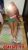 Türbanlı anal Escort DİLA - Resim3