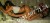 YENİ GRUP ESCORTLAR  NEHİR İRMAK - Resim12