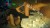 YENİ GRUP ESCORTLAR  NEHİR İRMAK - Resim6
