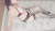Alımlı YENİ  ESCORT CEYDA - Resim10