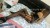Yeni MELEZ ESCORT ASYA - Resim2