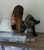 Yeni MELEZ ESCORT ASYA - Resim3