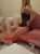 Alımlı ÜNİVERSİTELİ ESCORT MİRA - Resim3