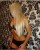 Temiz Ve Hijyen Escort Merve - Resim3