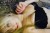 Sarışın YENİ RUS ESCORT LOLA - Resim6