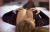 Corlu Yapancı Escort kristina