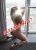 başakşehir escort bayan