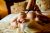 Topkapı Rus Escort Elena