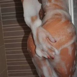 Halkali Anal Escort Ceren