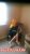 SINIRSIZ ESCORT GÜL - Resim6