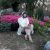 Başakşehir Türbanlı Escort Bayan Merve