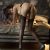 Ilımlı Görüşmeler Ortaya Koyan Escort Kiraz