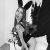 Randevularla Görüşmeler Yerine Getiren Escort Begüm
